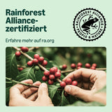 av Amazon Lungo Aluminium-Kaffeekapseln, kompatibel med Nespresso, mittelgeröstet, 100 Stück (5 Packungen mit je 20 Stück) – Rainforest Alliance zertifiziert