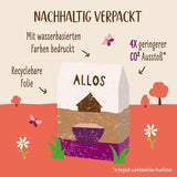 Allos Hof Granola med bär | Ekologisk müsli | Müsli med bär | Krispig müsli | Spannmål till frukost | Förpackning om 6 (6 x 300 g), 1 st (förpackning om 6)