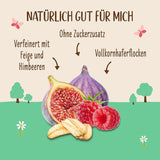 Osötad fikon- och hallongröt | Gröt utan socker | Ekologisk müsli | Müsli med frukt | Havregryn | Gröt till frukost | Spannmål till frukost | Vegan | Förpackning om 6 (6 x 500 g)