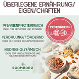 Ekologisk pasta Trivelline N.47 - 500g med dinkelmjöl, linsmjöl och quinoamjöl - Rik på protein, källa till fiber och protein