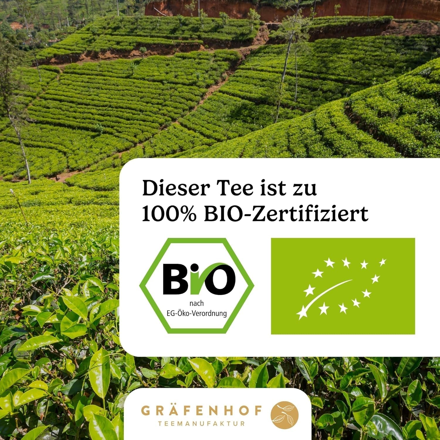 Ekologiskt Yerba Mate Tea Original 1 kg Loose Mate Tea High Koffein Orostat Lufttorkat Labbtestade Mate Blad Packade i Tyskland Premium Quality Gräfenhof