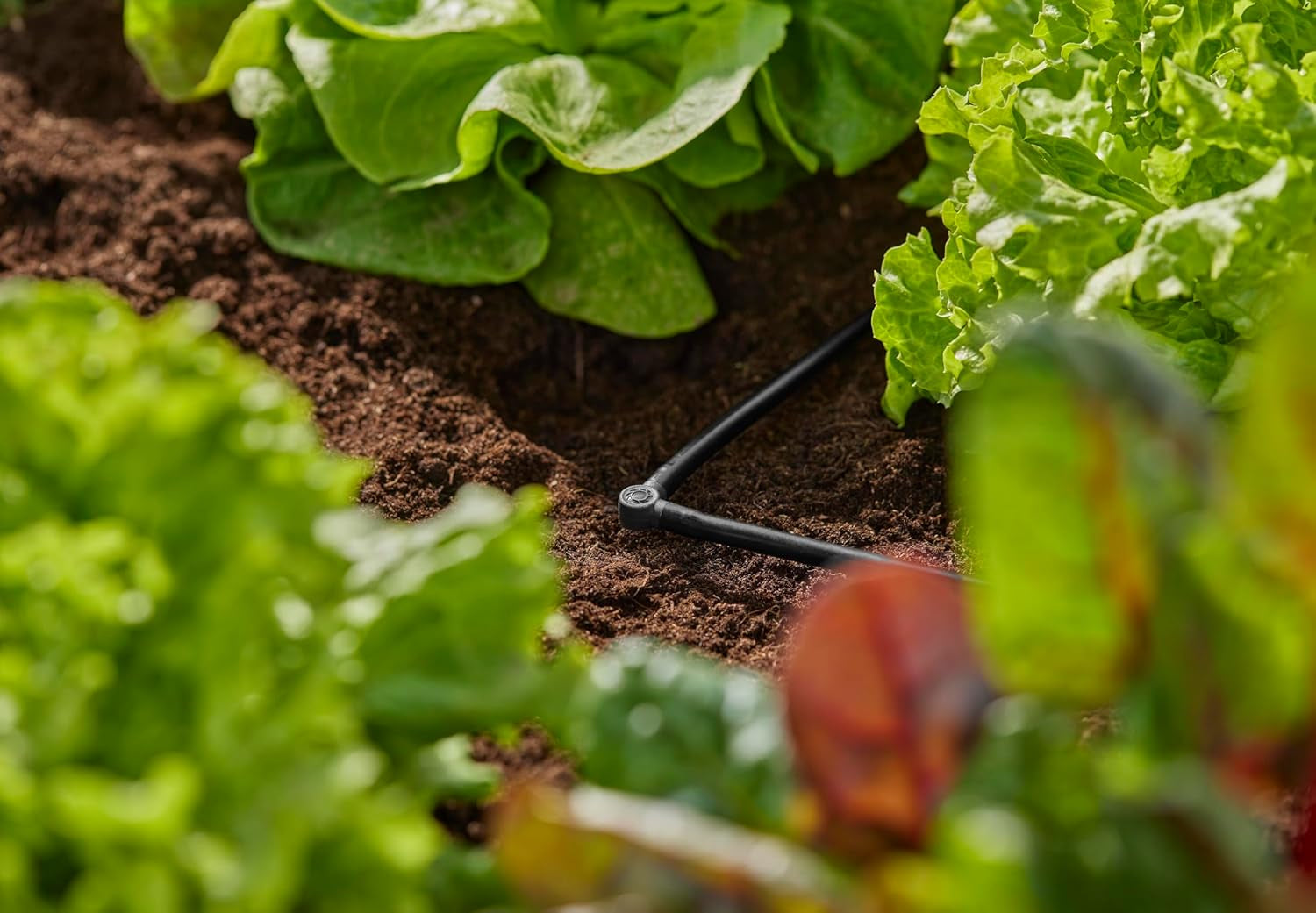 L-stycke för Gardena Micro-Drip 4,6 mm (3/16 tum): För att ändra distributionsriktning och dropplinjer med 90 grader, knäckfri installation, enkel och flexibel anslutningsteknik (13212-20)