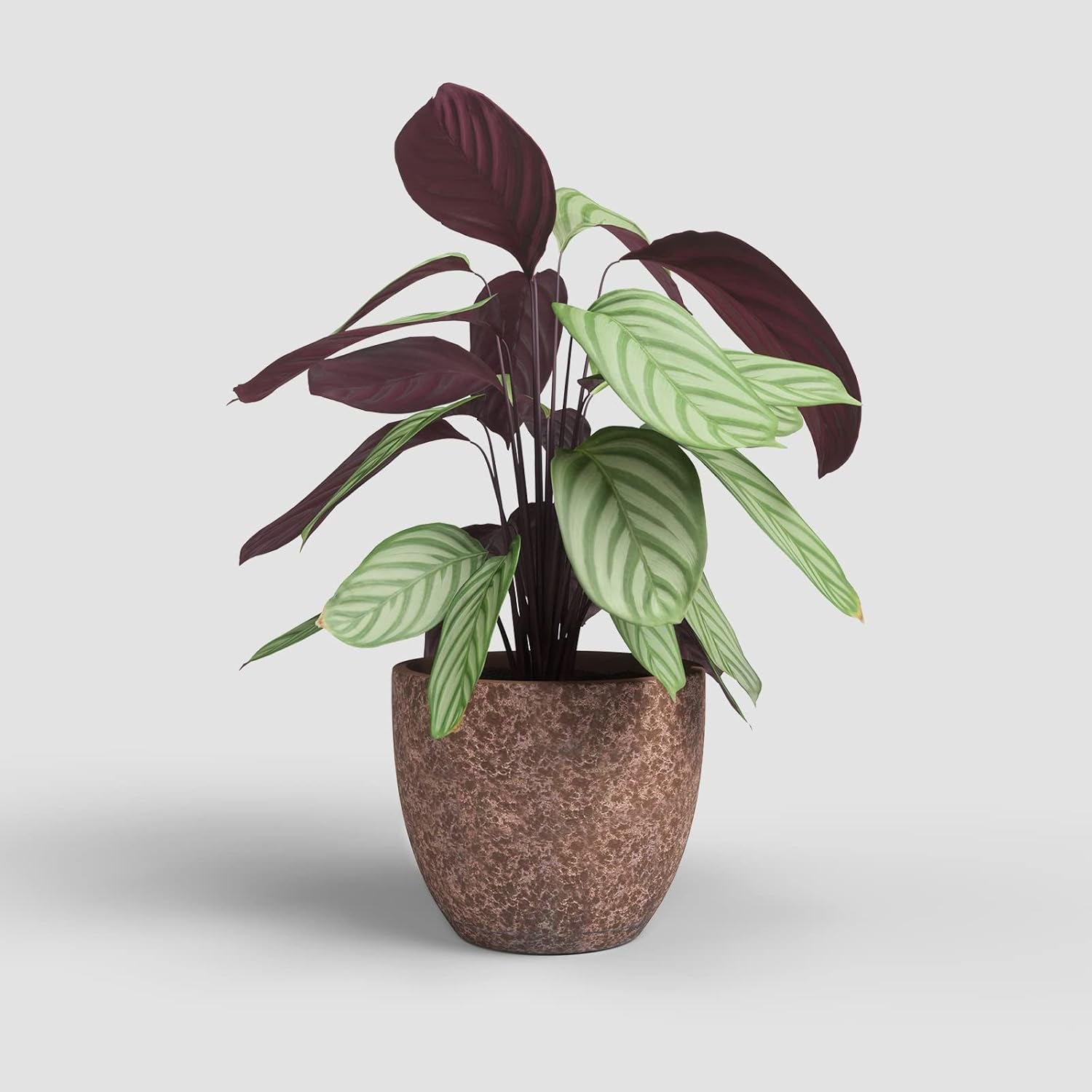 Artevasi Hestia blomkrukor, blomkrukor, dekorativa krukor, komplex struktur, handgjord keramik, terrakottafärg, 17 cm