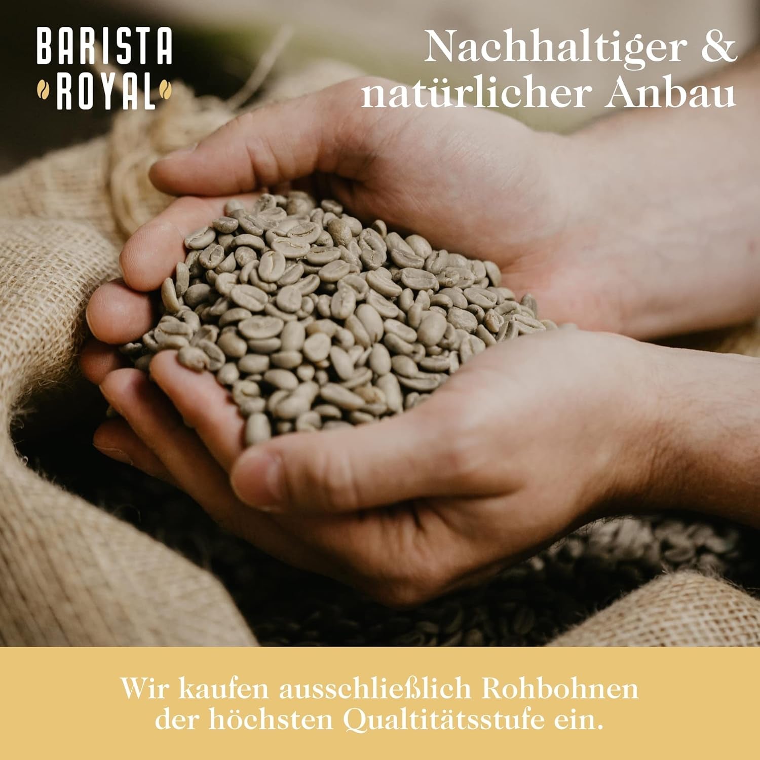 Hela bönor kaffeprovningsset 5 x 350g | Discovery Paket Kaffebönor i presentset | Arabiska | Rättvis handel | Vegan | Idealisk för automatiska espressomaskiner, filter-espressomaskiner, pour-over-espressomaskiner och franska pressar | KUNGLIG BARISTA