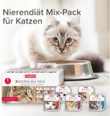 BEAPHAR – Renal Diet Mixed Package – Komplett foder för katter med kronisk njursvikt – För att stödja njurfunktionen – 6 x 100 g