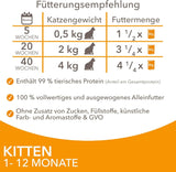 IAMS Delights Kitten Nassfutter - Multipack Katzenfutter med Hunn i sås, högkvalitativ Futter für Junior Kätzchen av 1-12 Monate, 12 x 85 g
