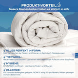Allnights - Lätt komforttäcke 135X200 100% nya fjädrar och dun, lämplig för allergiker, tvättbar upp till 60°C, tillverkad i Tyskland Täcken och täcken Naty Shop