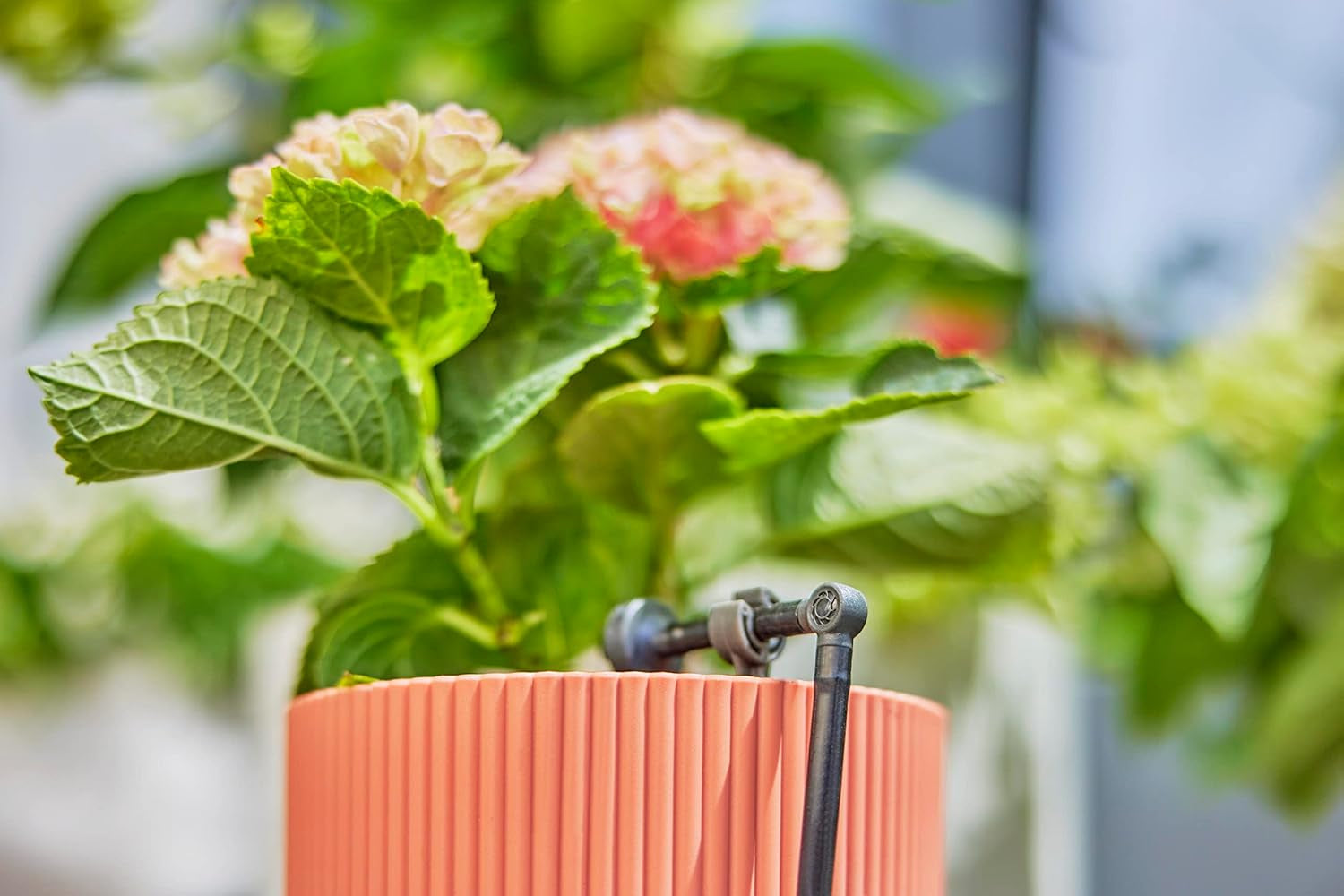 L-stycke för Gardena Micro-Drip 4,6 mm (3/16 tum): För att ändra distributionsriktning och dropplinjer med 90 grader, knäckfri installation, enkel och flexibel anslutningsteknik (13212-20)