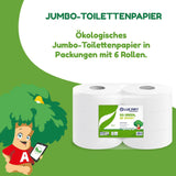 Jumbo Eco toalettpappersrullar, 2-lagers, handtvättkräm med rengörande, fuktgivande och utjämnande formel - Blomdoft - 5L, 6 stycken (1-pack)