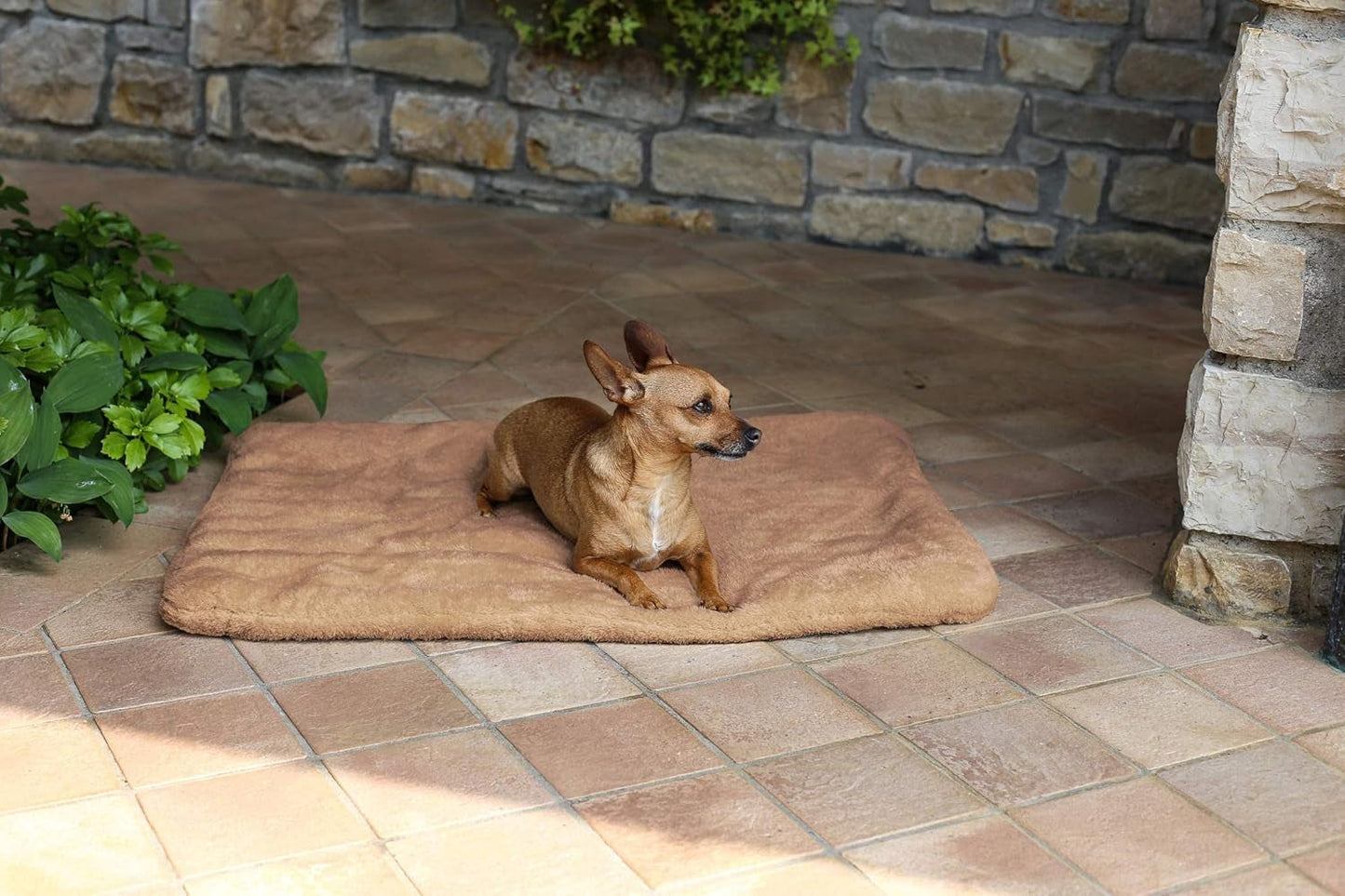 Sogni E Capricci Super Soft Mat, Kräm, 104X75CM, Polyester, Filtar och täcken Naty Shop Brun 62X50Cm
