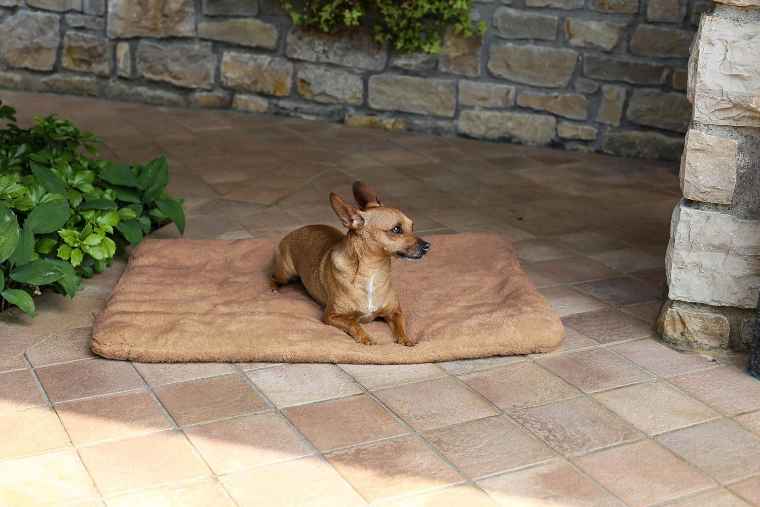 Sogni E Capricci Super Soft Mat, Kräm, 104X75CM, Polyester, Filtar och täcken Naty Shop Brun 62X50Cm