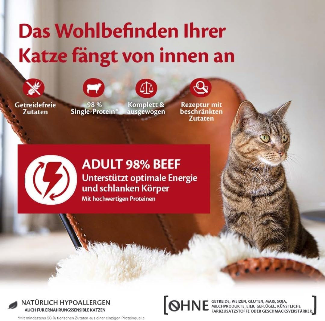 Wellness CORE 98% 12 x 85g, nötkött - våtfoder för katter, tjock paté, spannmålsfri, naturlig, hypoallergen, hög proteinhalt, hög halt av kött