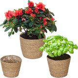 Relaxdays sjögräs blomkrukor Set med 3 runda blom- och örtplanteringskorg med folie 3 storlekar Planteringskorg Natural