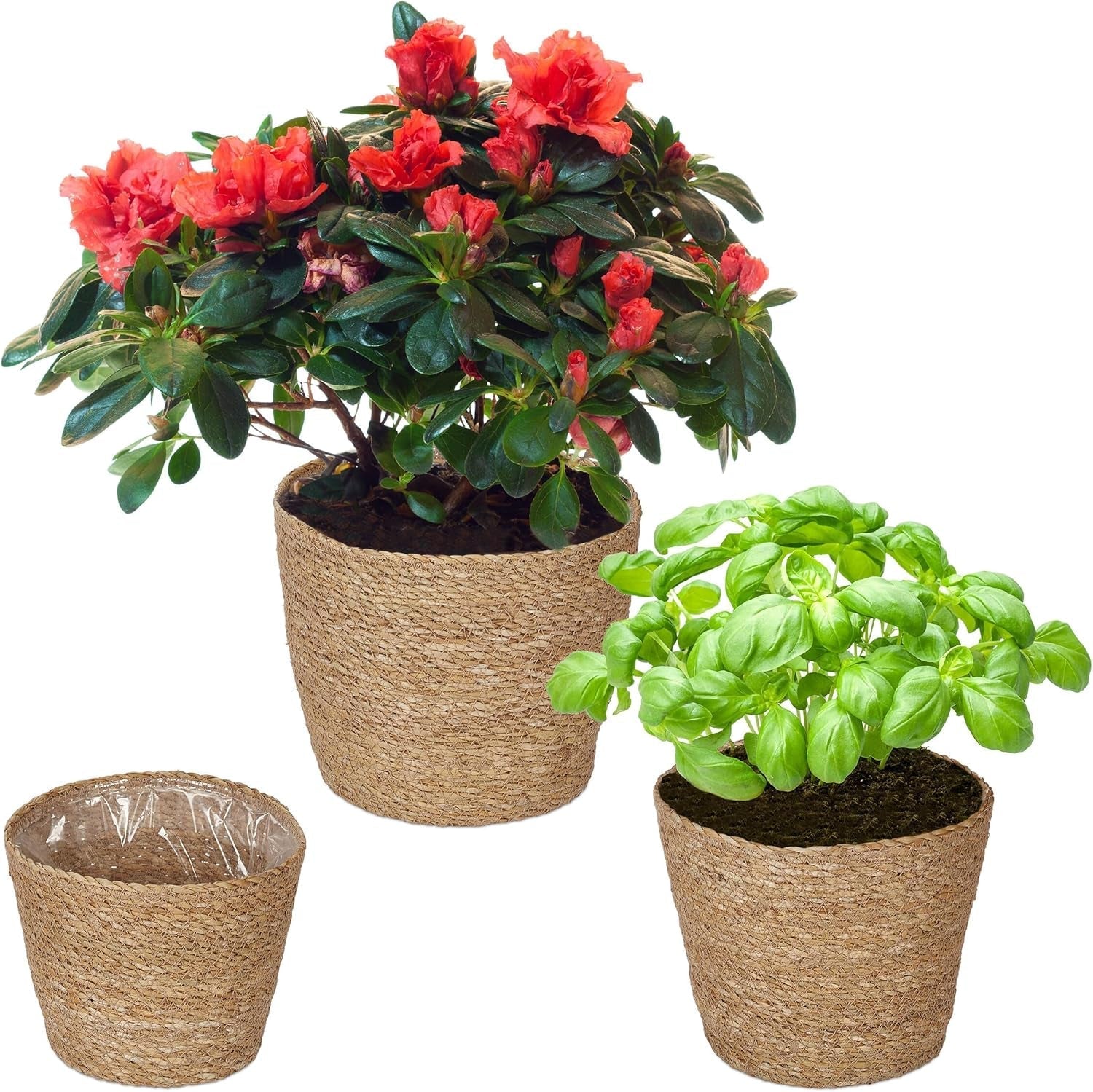 Relaxdays sjögräs blomkrukor Set med 3 runda blom- och örtplanteringskorg med folie 3 storlekar Planteringskorg Natural