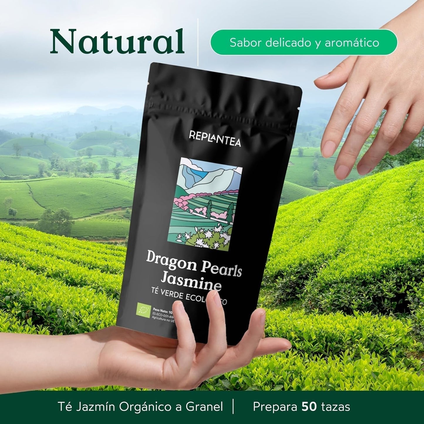 Ekologiskt te Jasmin Dragon Pearls (100 g) | Premium grönt te i form av handrullade jasminpärlor | Tespecialitet med delikat blomarom | OMPLANTERA