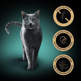 SHEBA Wet Cat Food, Nature's Collection i Turkietsås, 2 x 11 x 85g