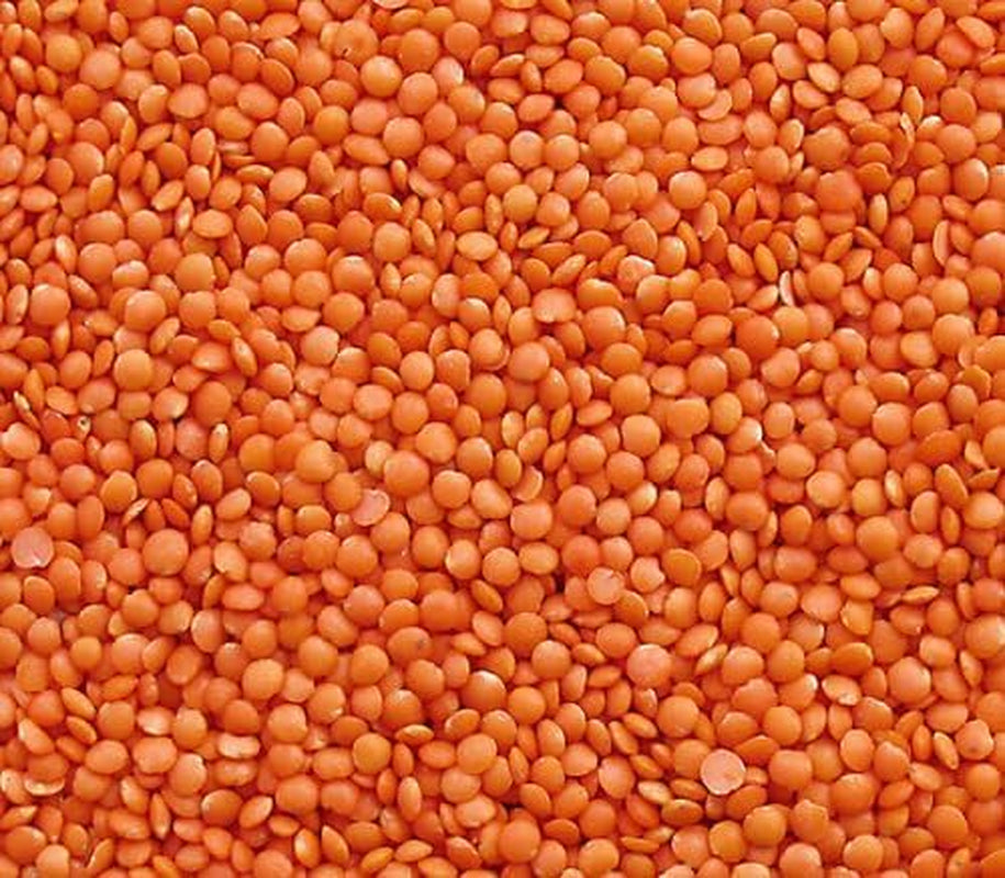 Seba Garden Red Linser 1 kg - Hela premiumlinser från Kanada - Massor Dal, icke-GMO, proteinrik, fiberrik - helt naturlig, vegansk, glutenfri, perfekt för soppor och curryrätter