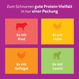 WHISKAS PURE DELIGHT Våtfoder i gelé 24 x 85g Classic Ragout (4 förpackningar) 48 portionspåsar