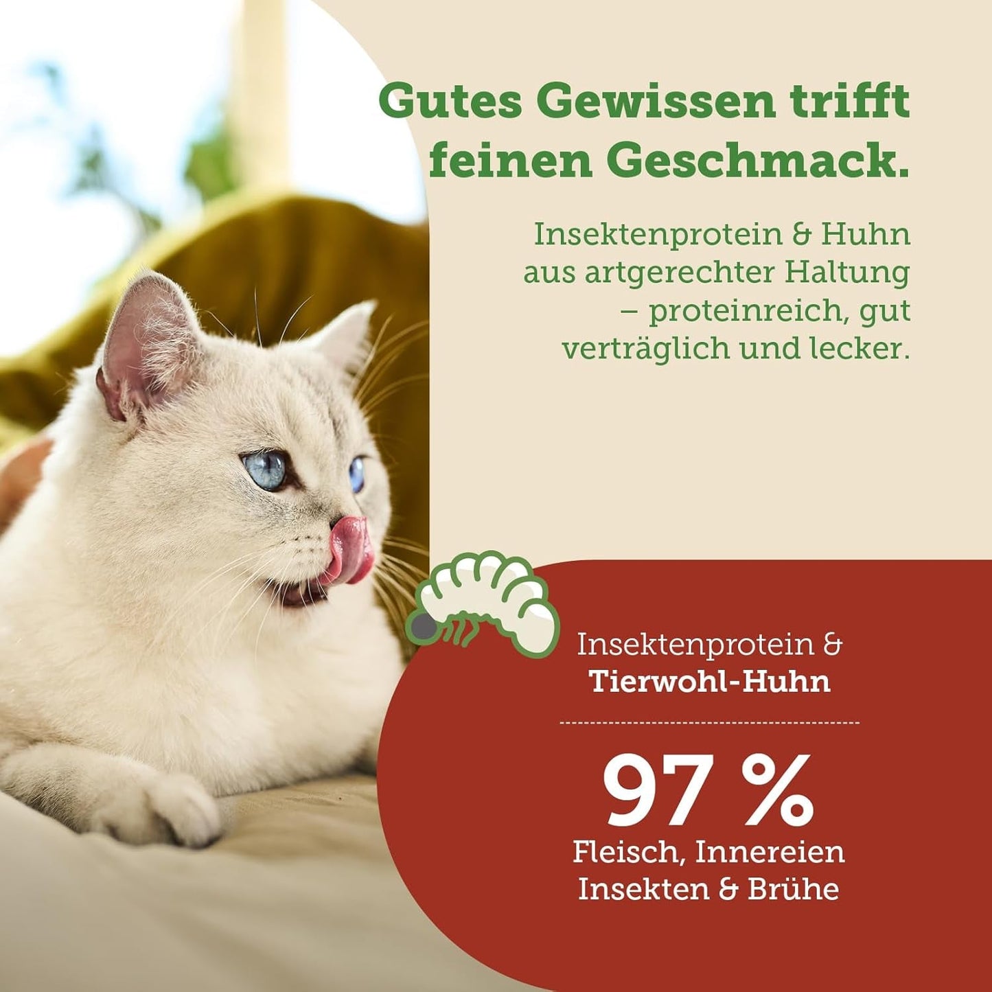 MERA Cats Nature Insect Premium Katzenfutter Nass 12x85g | ohne Zucker und Getreide| Nachhaltig & mit viel Insektenprotein | Vuxen Katzennassfutter