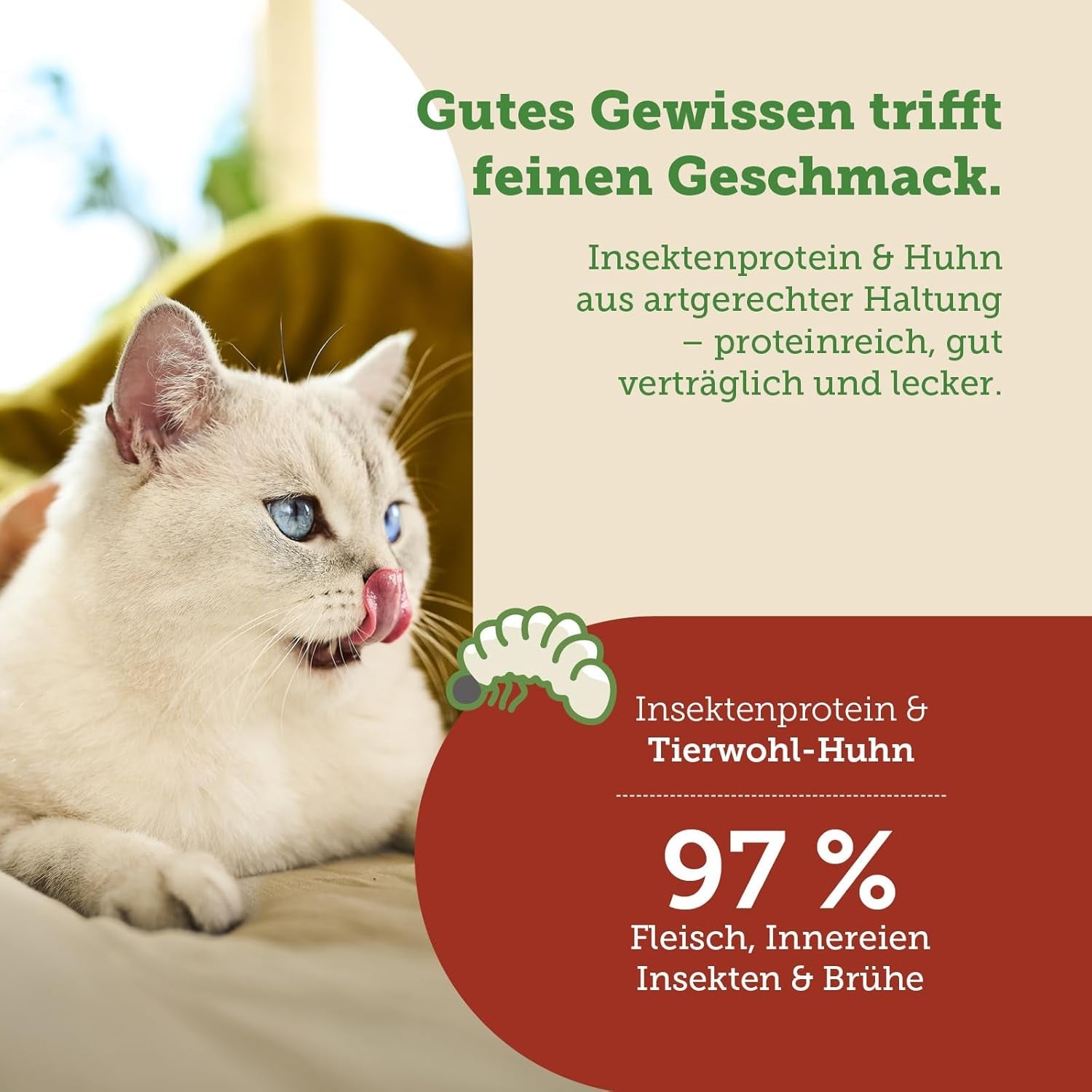 MERA Cats Nature Insect Premium Katzenfutter Nass 12x85g | ohne Zucker und Getreide| Nachhaltig & mit viel Insektenprotein | Vuxen Katzennassfutter