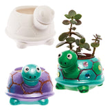 Baker Ross FX594 Turtle Keramiska planteringskärl - paket med 2, måla din egen plantera