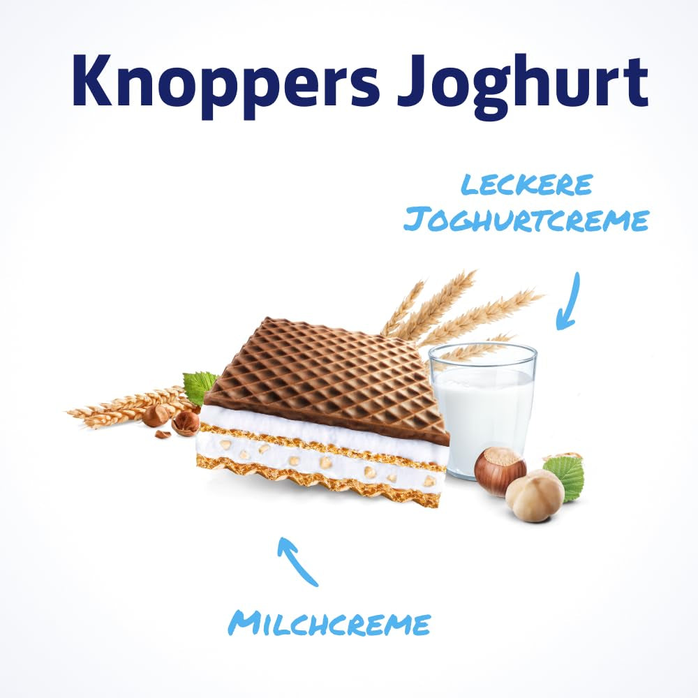Yoghurt – 4 x 200 g – Rånskivor fyllda med yoghurt och nougatkräm, hasselnötter och kakao