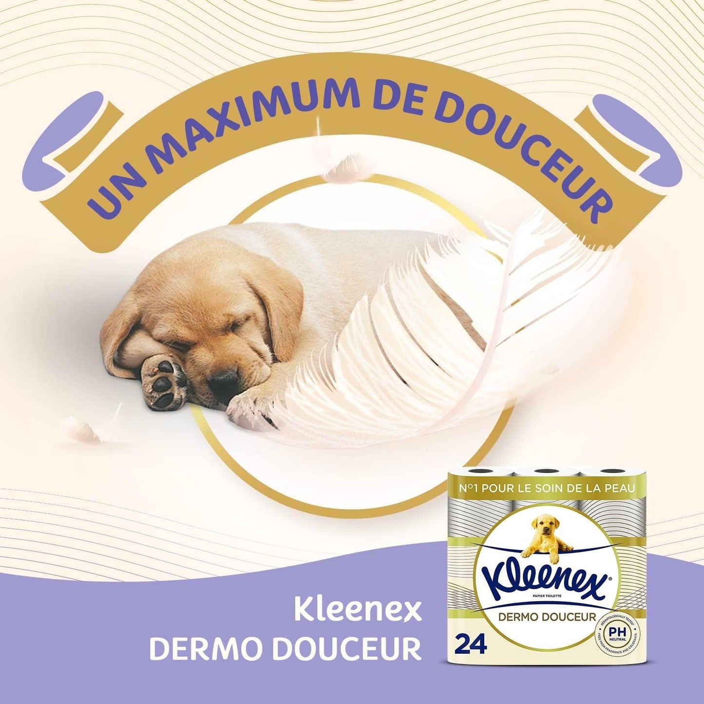 KLEENEX Dermo Douceur 4230420 Toalettpapper, 24 rullar (4 X 6 rullar) vitt, 24 Unité (Lot Of 6)