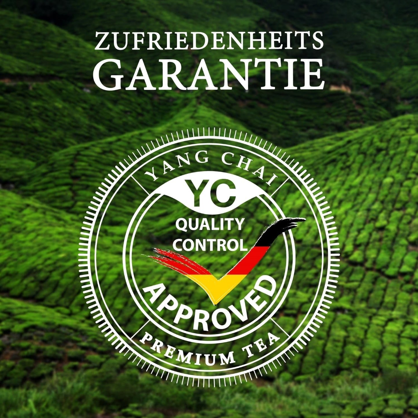 YC Yang Chai Sencha Green Tea BIO 250G - Japanskt löst te med bergamottsmak - Original japanskt grönt te "Sencha Dynasty" från kontrollerad organisk odling