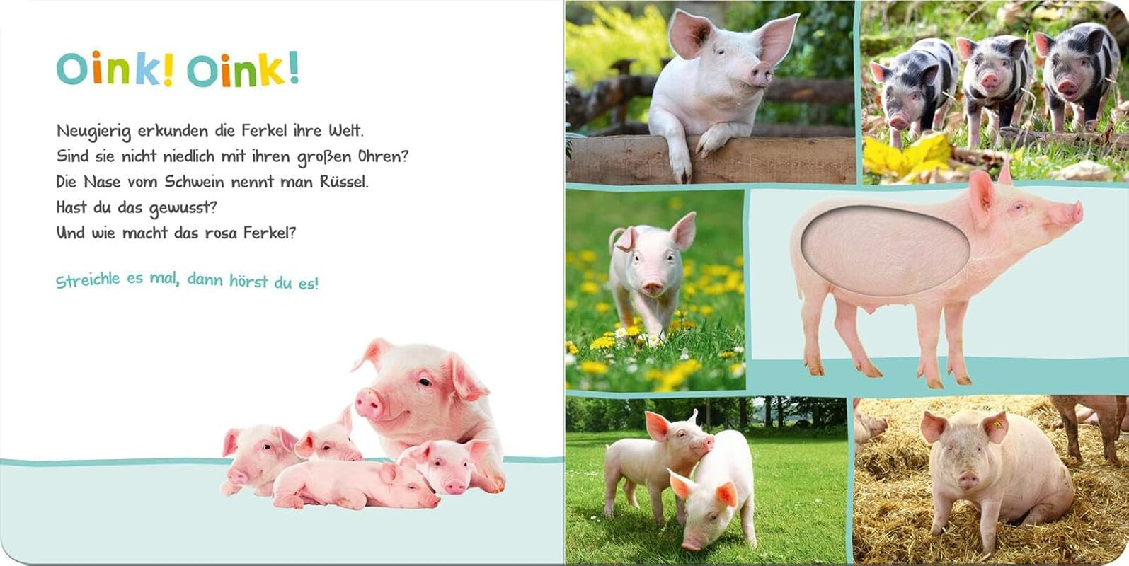 Lyssna, vem kan det vara? - Husdjur: klappa och lyssna | Högkvalitativ kartongbilderbok med 5 ljud och taktila element för barn över 18 månader Baby Toys Naty Shop