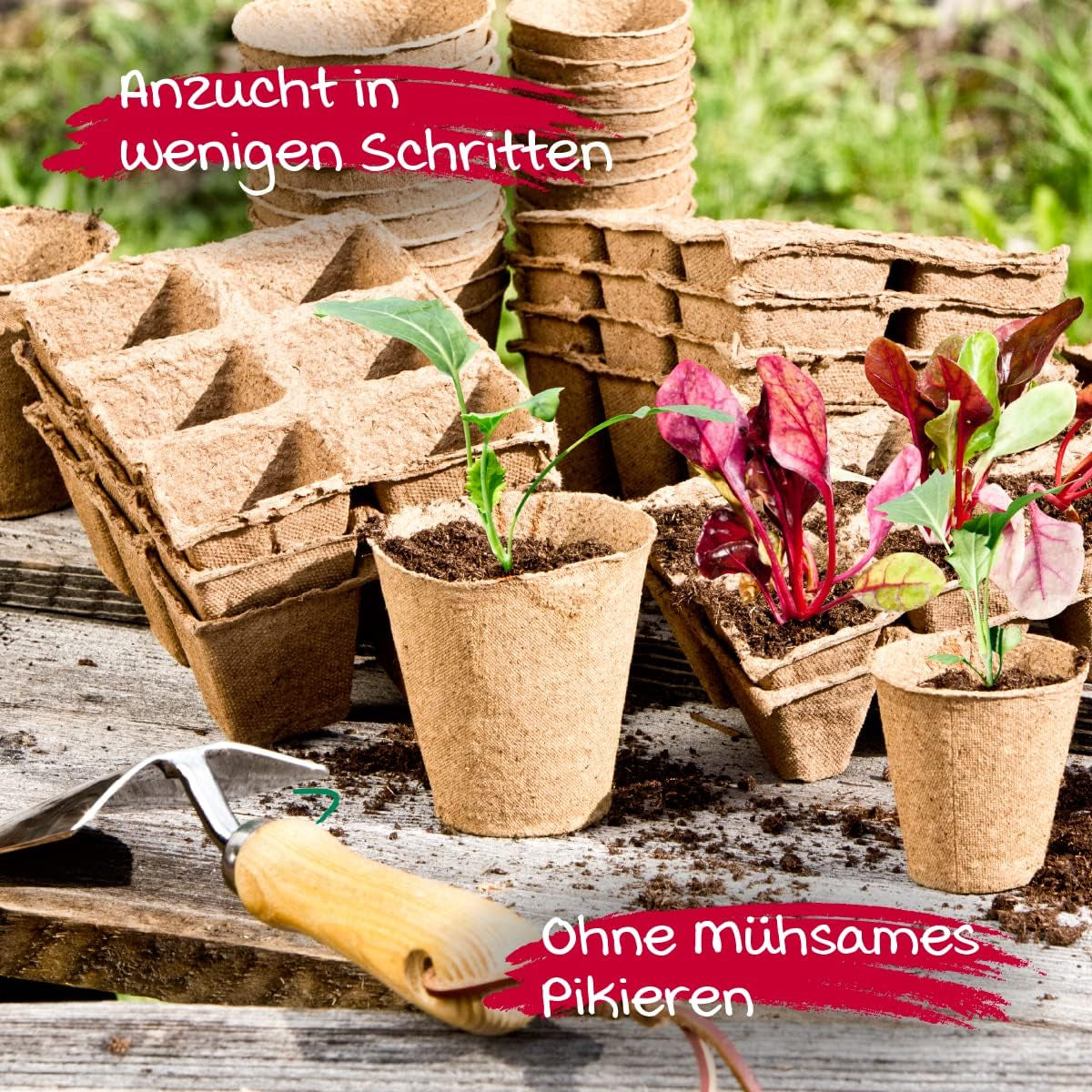 Windhager plantkrukor, 48 stycken, diameter 8 cm, brun, utan torv, 04343