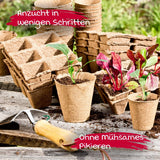 Windhager plantkrukor, 48 stycken, diameter 8 cm, brun, utan torv, 04343