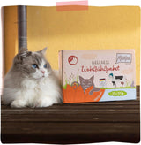 MjAMjAM - Premium Wet Cat Food - Wellness Pack Nötkött, paket med 12 (12 x 125 g), spannmålsfri med extra kött