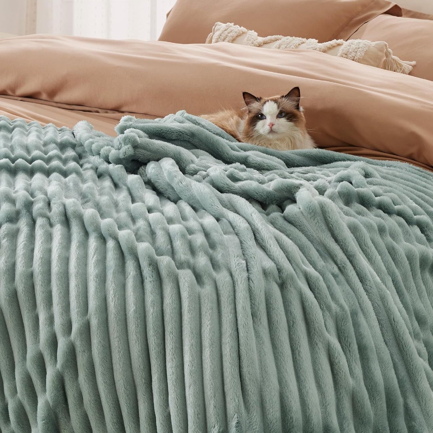 BEDSURE Sage grön fleece filt för soffa - Supermjuka mysiga filtar för kvinnor, söt liten filt för tjejer, 127 X 152 Cm sängar och filtar Beuche den BEDSURE-Store
