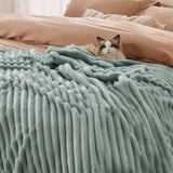 BEDSURE Sage grön fleece filt för soffa - Supermjuka mysiga filtar för kvinnor, söt liten filt för tjejer, 127 X 152 Cm sängar och filtar Beuche den BEDSURE-Store