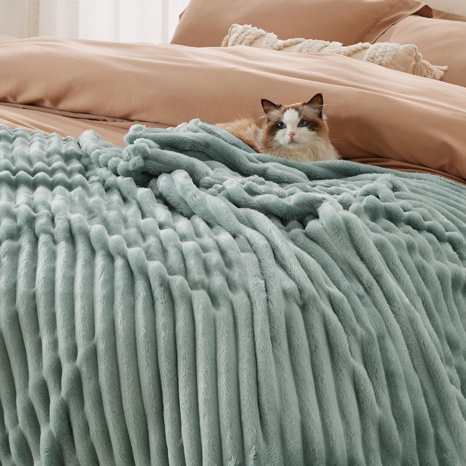 BEDSURE Sage grön fleece filt för soffa - Supermjuka mysiga filtar för kvinnor, söt liten filt för tjejer, 127 X 152 Cm sängar och filtar Beuche den BEDSURE-Store