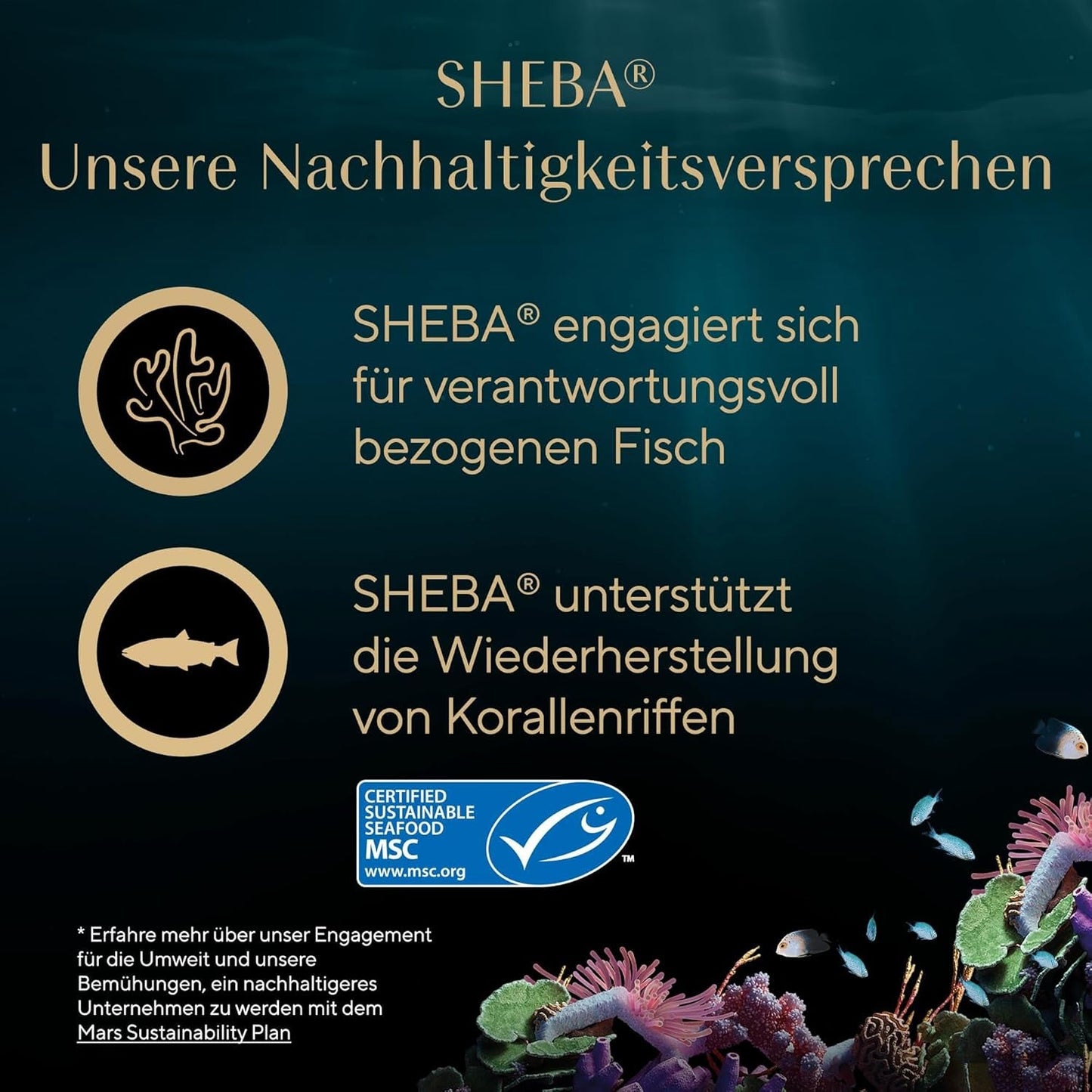 SHEBA filéer vuxen Katzenfutter i sås med kyckling, Hochseefisch och Garnelen 16 x 60 g skal