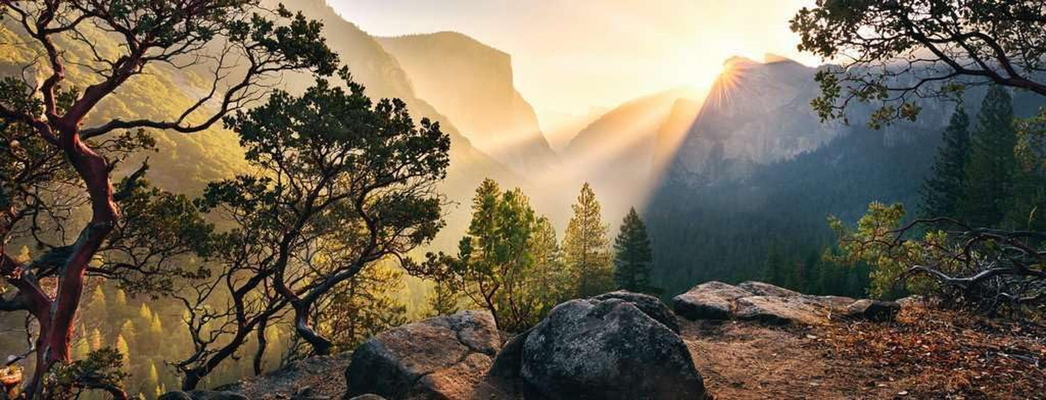 Ravensburger Puzzle 15083 - Yosemite Park - 1000-bitars pussel för vuxna och barn över 14 år i panoramaformat Puzzle Naty Shop