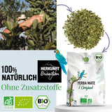 ORIGEENS BIO YERBA MATE TEA 1 KG - The Original I Orostad, blad, utan stjälkar, damm och smulor I Energigivande och avgiftande dryck