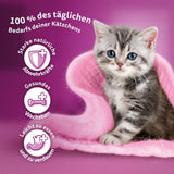 WHISKAS Junior våtfoderpåsar, multipack, urval av fjäderfäkött i gelé, 12 x 85g