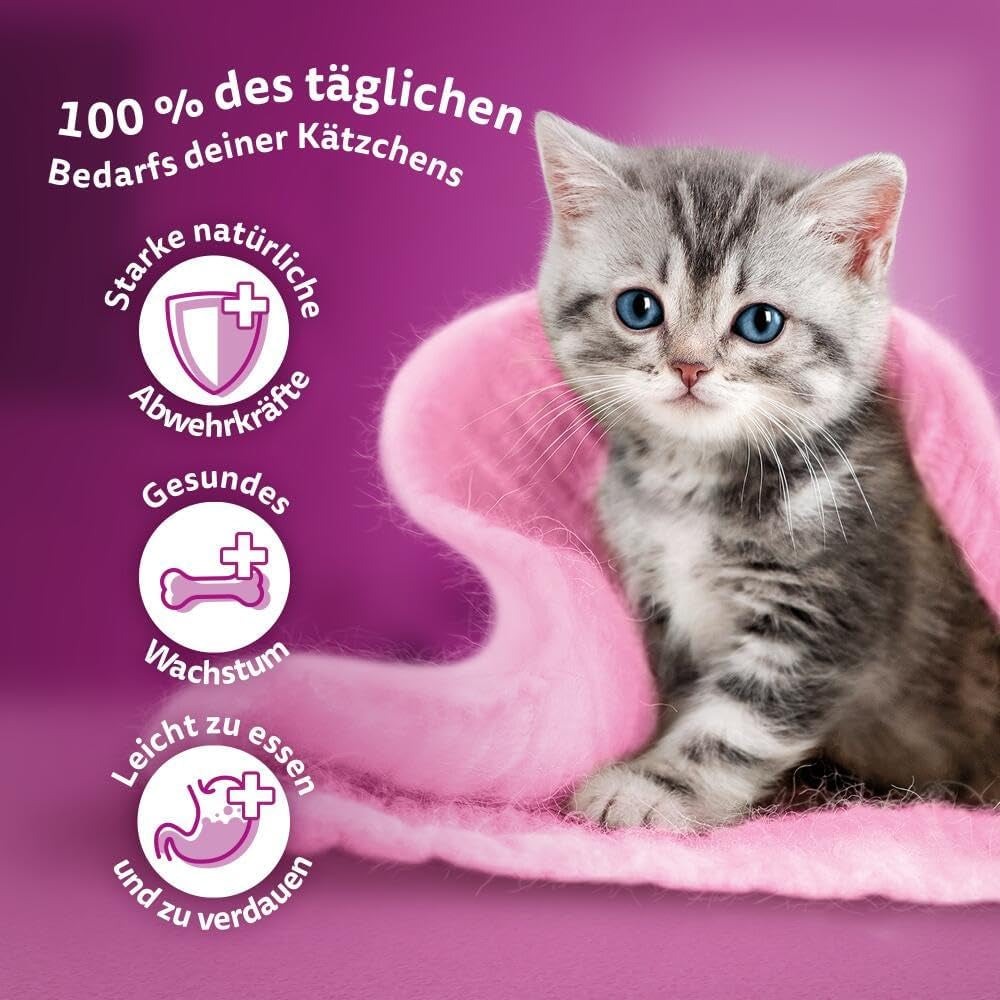 WHISKAS Junior våtfoderpåsar, multipack, urval av fjäderfäkött i gelé, 12 x 85g
