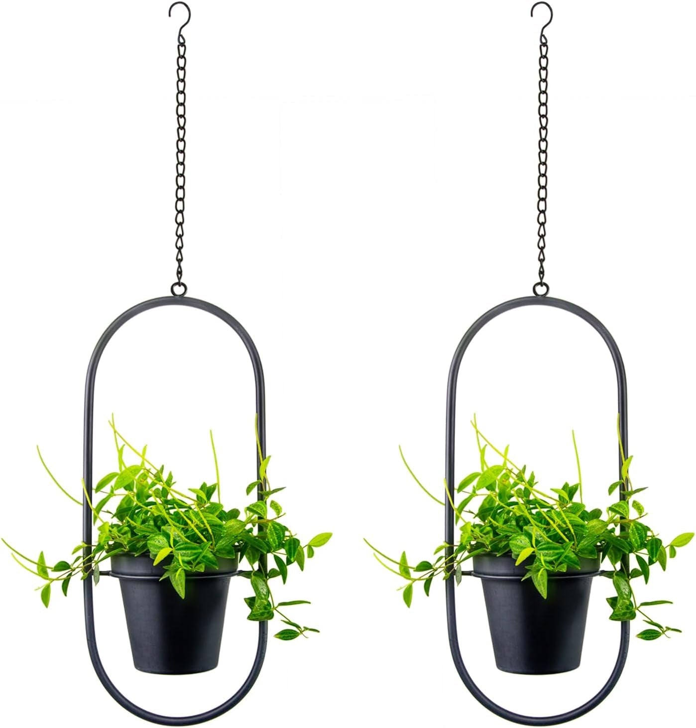 Hängande metallblomkrukor 2 st Svart oval geometrisk växthängare med krukor Modern vägg- och takkruka inomhus utomhus 15,2 cm blomkrukor 2 st