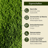 Ceremoniell UJI - 30 g låda - Bio - 100% japansk matcha - Första skörd - Ren matcha - Mald