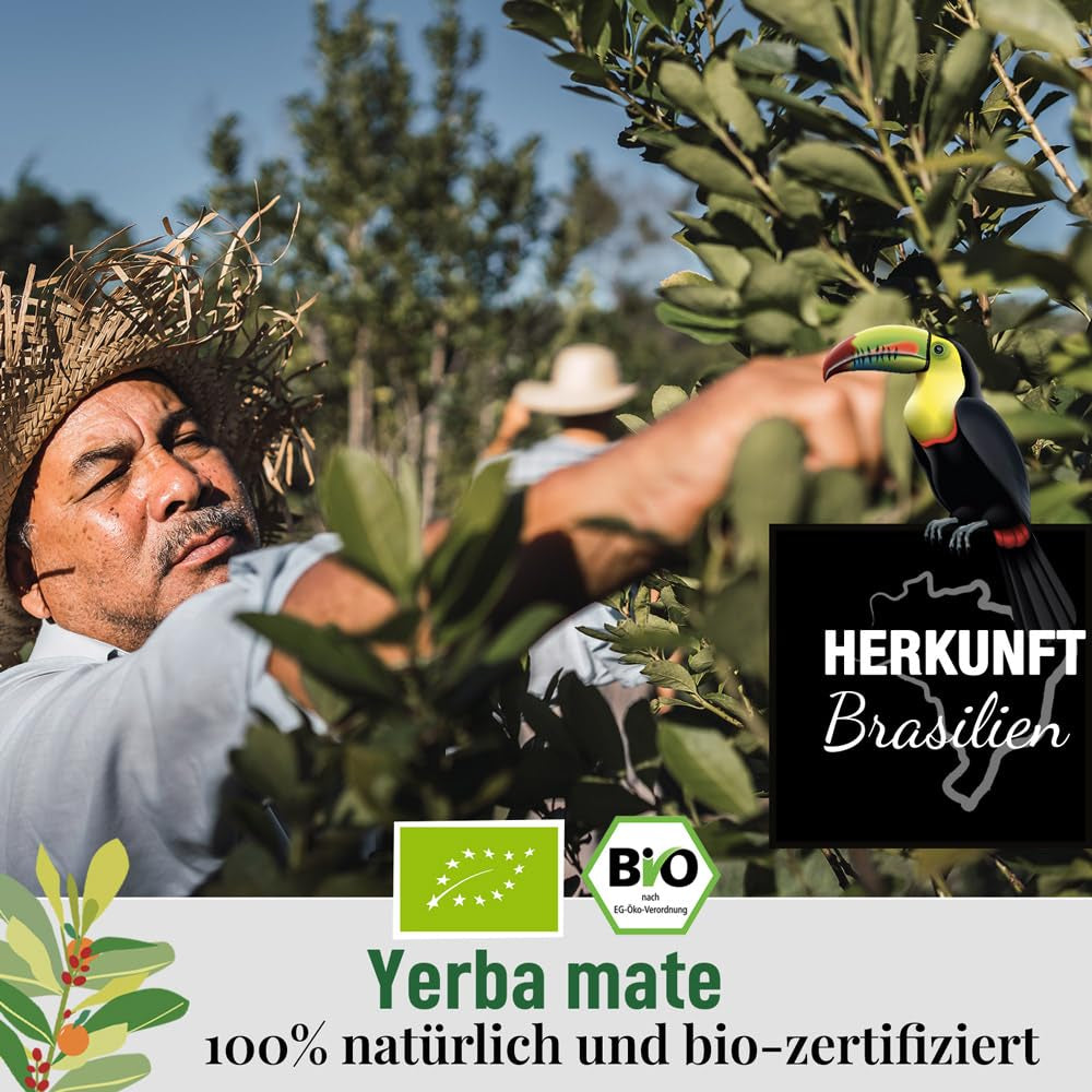 ORIGEENS BIO YERBA MATE med apelsiner 200 G - Fruktigt te I Ekologiskt orostat Yerba Mate te, utan stjälkar och damm I Energigivande och avgiftande dryck