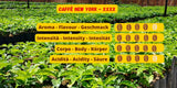 Caffè New York - XXXX - Helt bönkaffe - 1000g