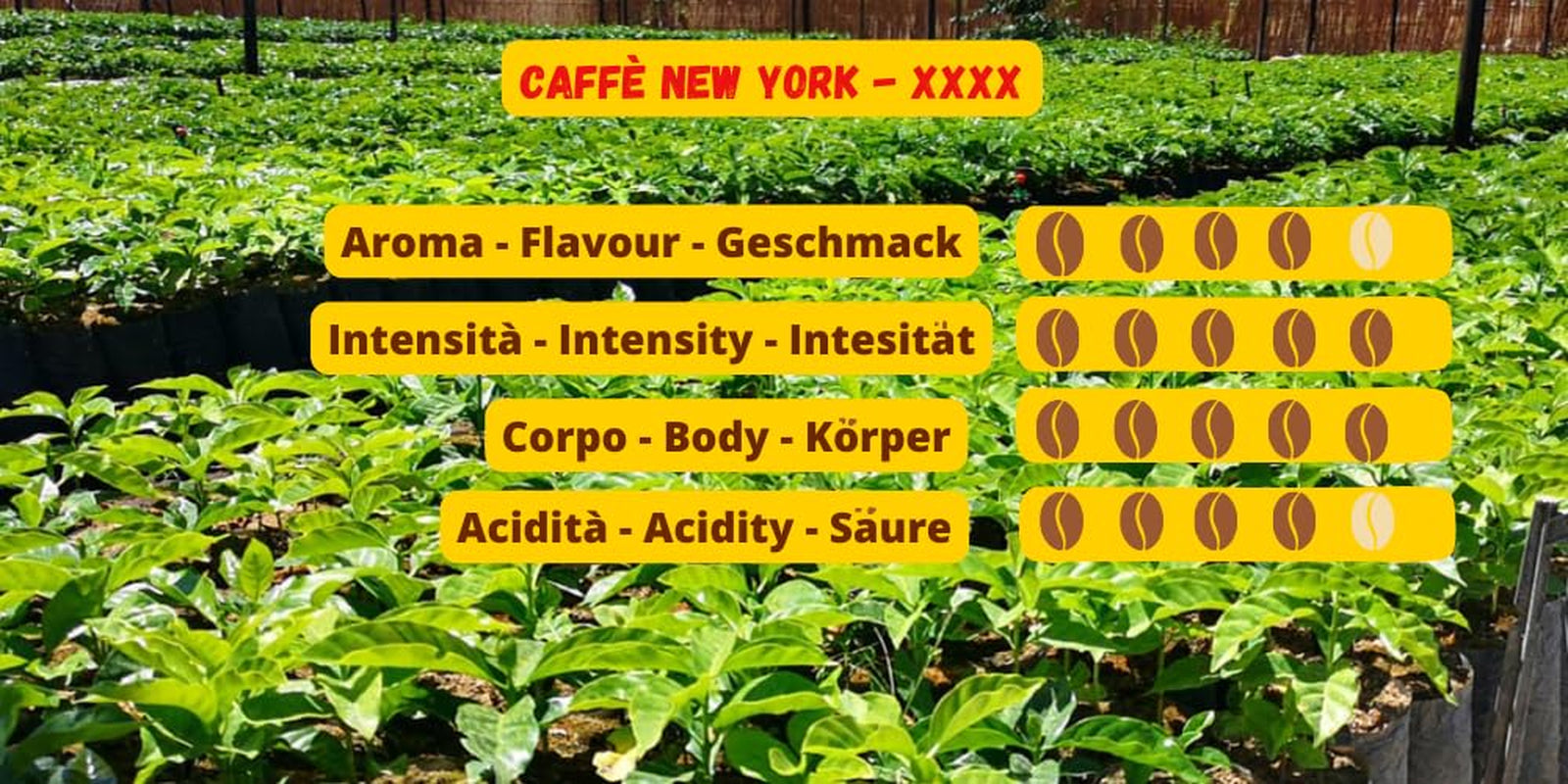 Caffè New York - XXXX - Helt bönkaffe - 1000g