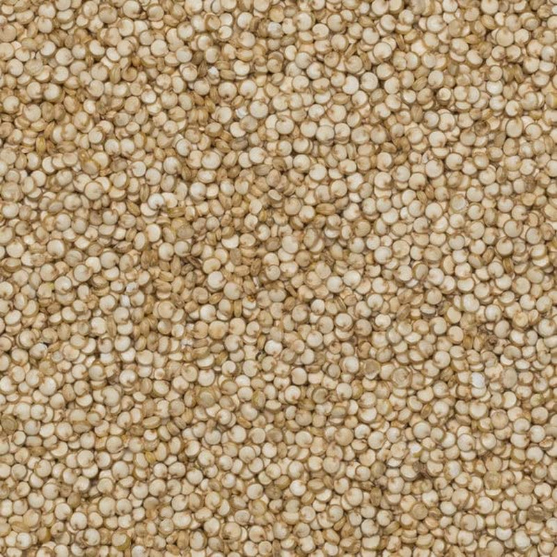 Wholefood Earth Organic Quinoa Grains – 2kg | Grym | Icke-GMO | Vegan | Rik på fibrer | Certifierad ekologisk