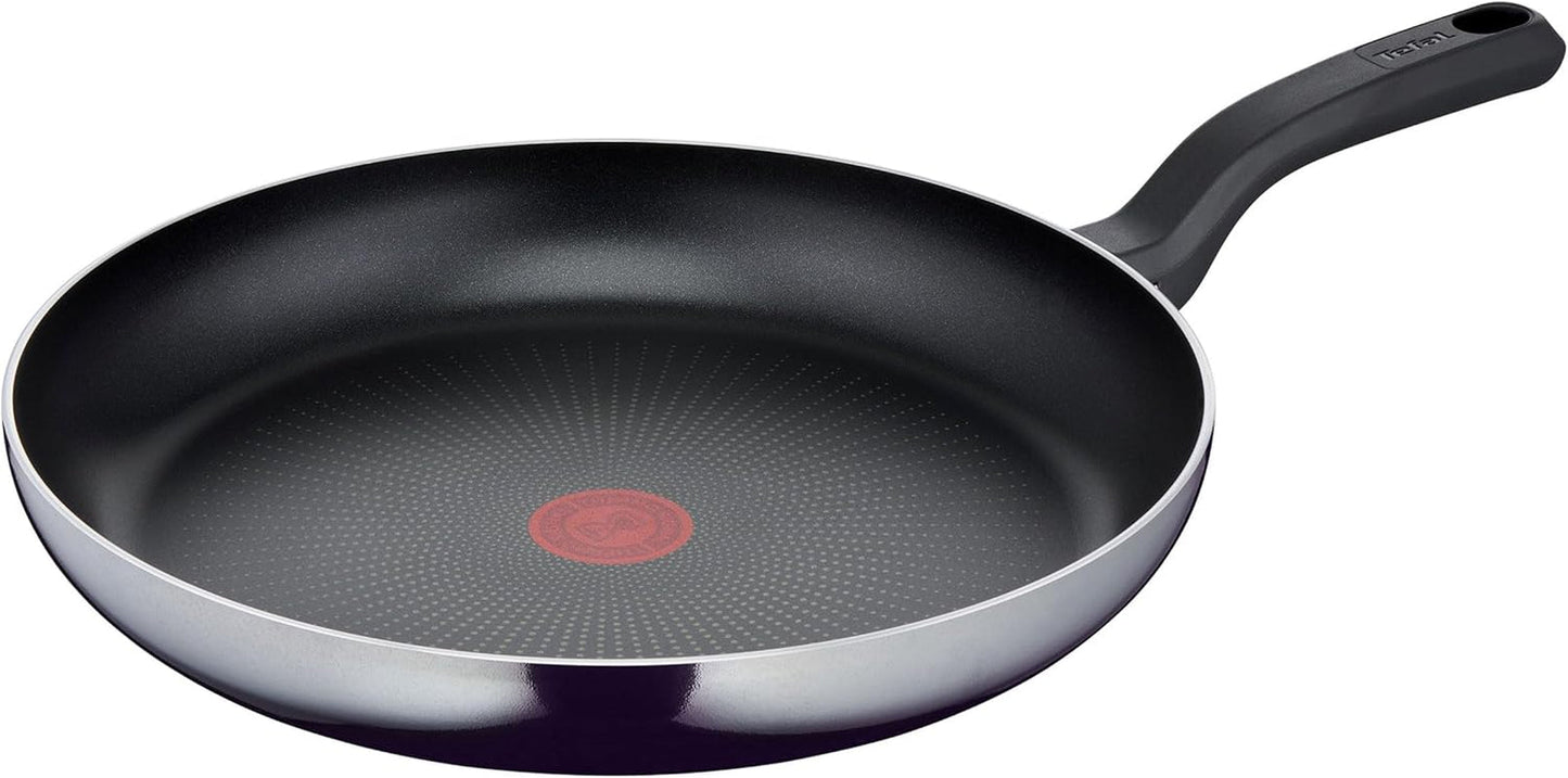 Tefal D52606 Resist, non-stick beläggning i titan Grytor och kastruller Naty Shop 32 Cm