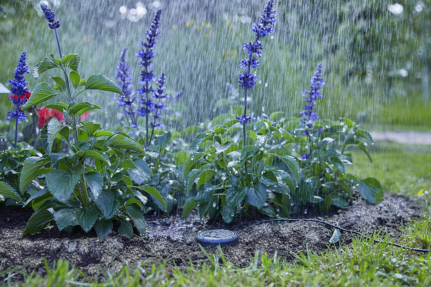 Gardena förlängningskabel (10 m) för regnsensor och jordfuktighetssensor, anslutningskabel med Easy Click-system, förlängbar upp till 105 m, för användning över och under marken (01868-20)