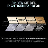 L'Oréal Paris Intensiv permanent hårfärg, Upp till 8 veckors glansigt hår och intensiv färg, Préférence Vivid Colors, Färg: 10.112 SILVERGRÅ, 1 st (förpackning med 2) Hårfärgning Naty Shop