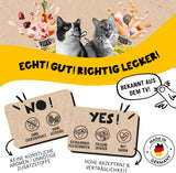 Dogs'n Tiger Schlemmermenü Glückskind, Nassfutter für Kätzchen, saftiges Hun und Forelle - ohne Getreide, Zuckerzusatz, künstliche Konservierungsstoffe, optimal Verträglichkeit, 12x 200g